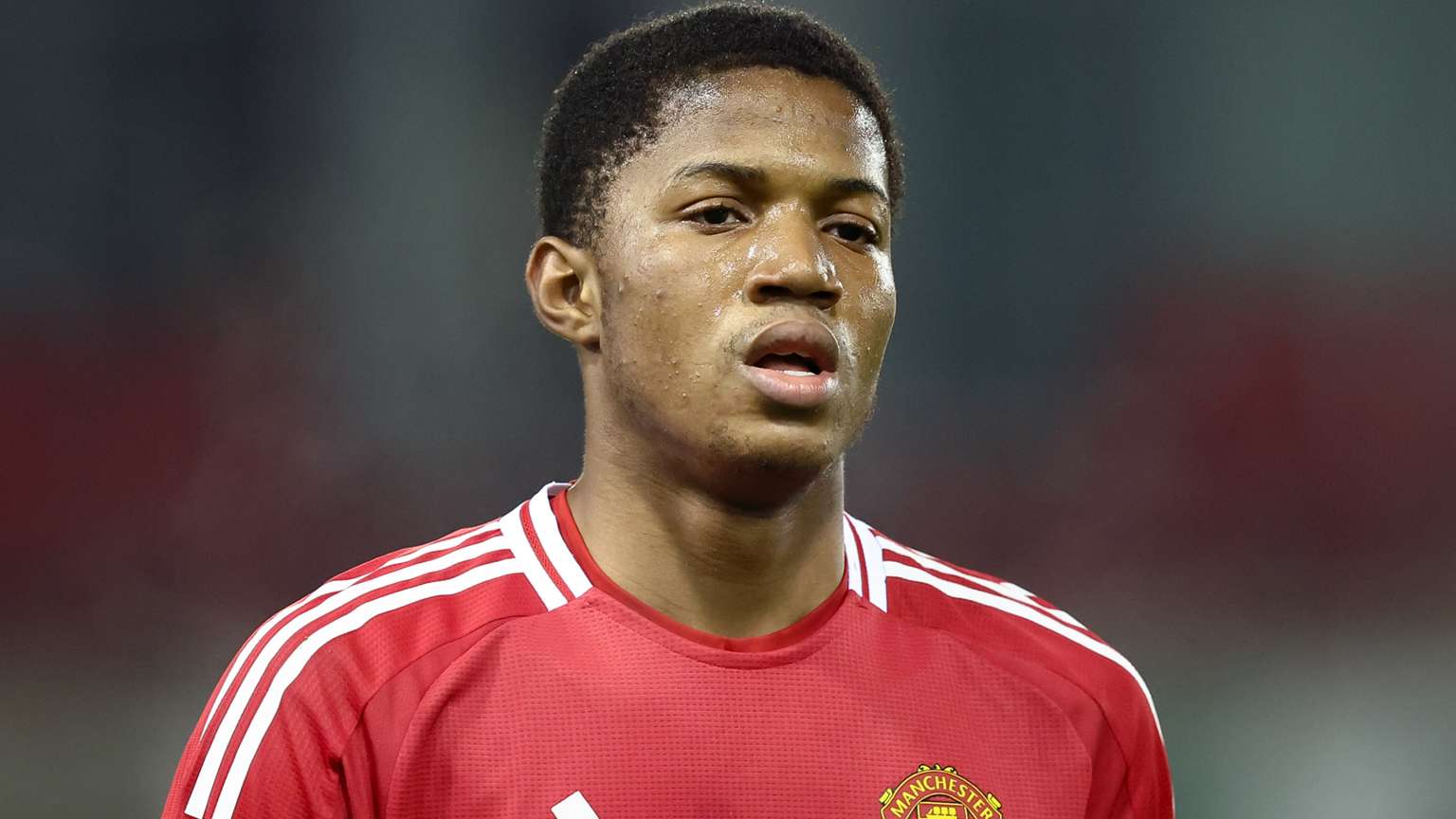 地的足球文 地的足球文